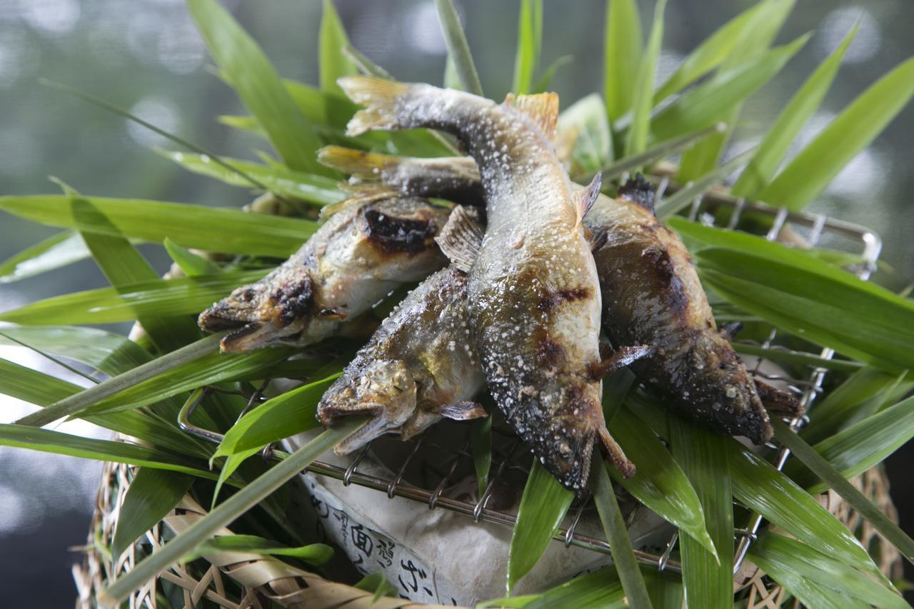 Suimeikan Gero Exterior foto A pair of the frogs